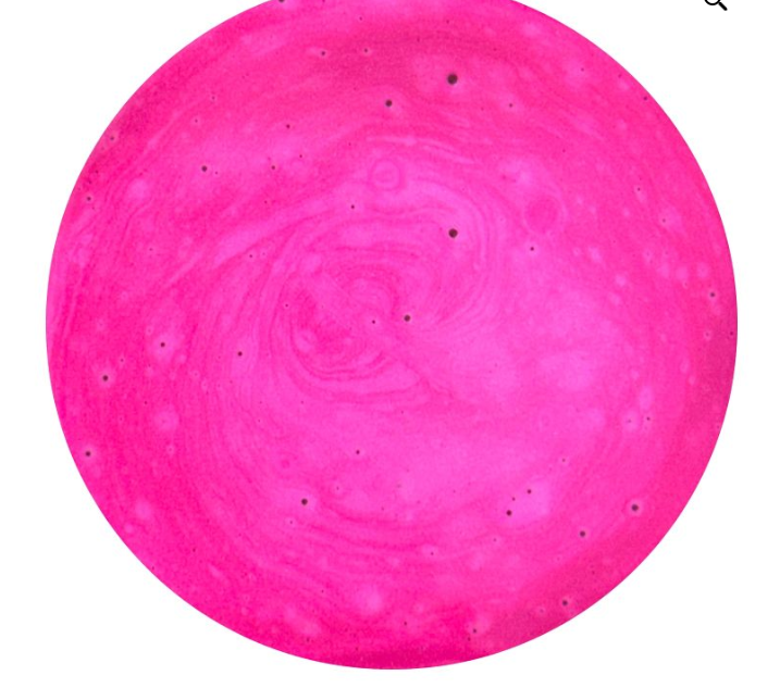 Electric Pink Lustre image 0