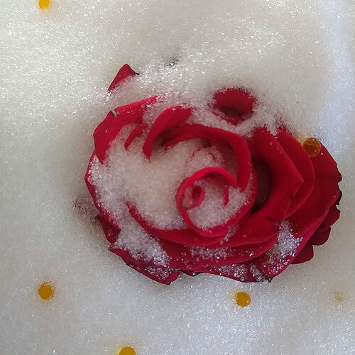 Flower Drying Silica Sand- with indicator beads 1kg Bag